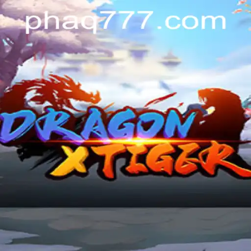 Exploring the World of DragonXTiger: An In-Depth Look